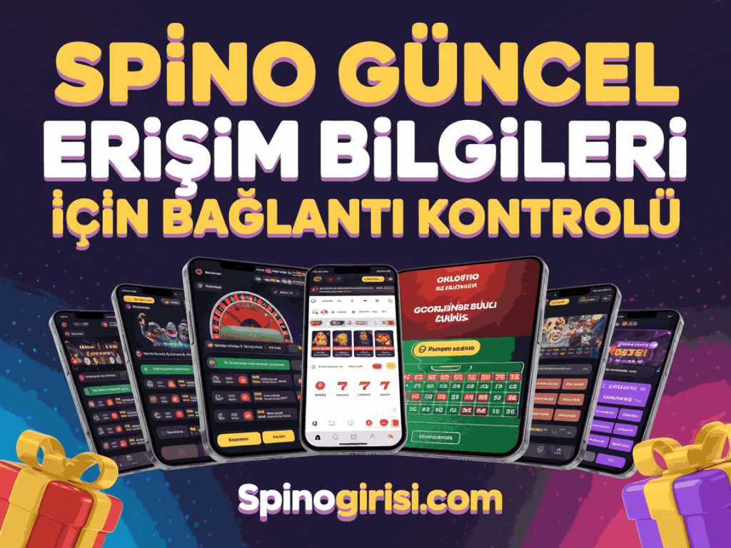 spino guncel erisim bilgileri icin baglanti kontrolu
